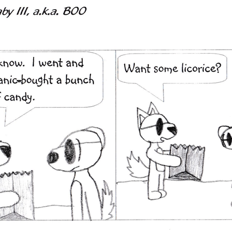 Boosipherous Boonipherous Bojangles Barnaby III, a.k.a Boo (#7)