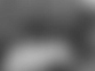 Anacostia Watershed Society Earth Day Cleanup on April 25, 2020