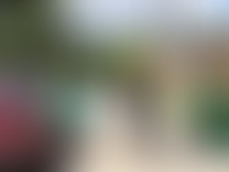 From the Office of Council Member Tom Dernoga July 2020