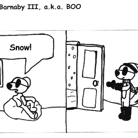 Boosipherous Boonipherous Bojangles Barnaby III, a.k.a Boo (#18)