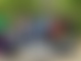 Anacostia Watershed Earth Day cleanup was a Success!