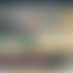 Letter To The Editor