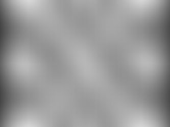 Solution to April's Crossword Puzzle: Spring Break