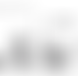 Boosipherous Boonipherous Bojangles Barnaby III, a.k.a Boo (#27)