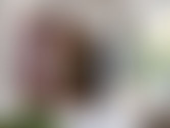 Why a Credit Union Is a Smart Partner for Your Financial Planning