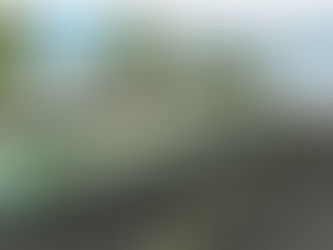 Successful Community Walk on November 19