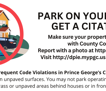 From the Office of Council Member Tom Dernoga March 2024