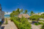_NZ25942