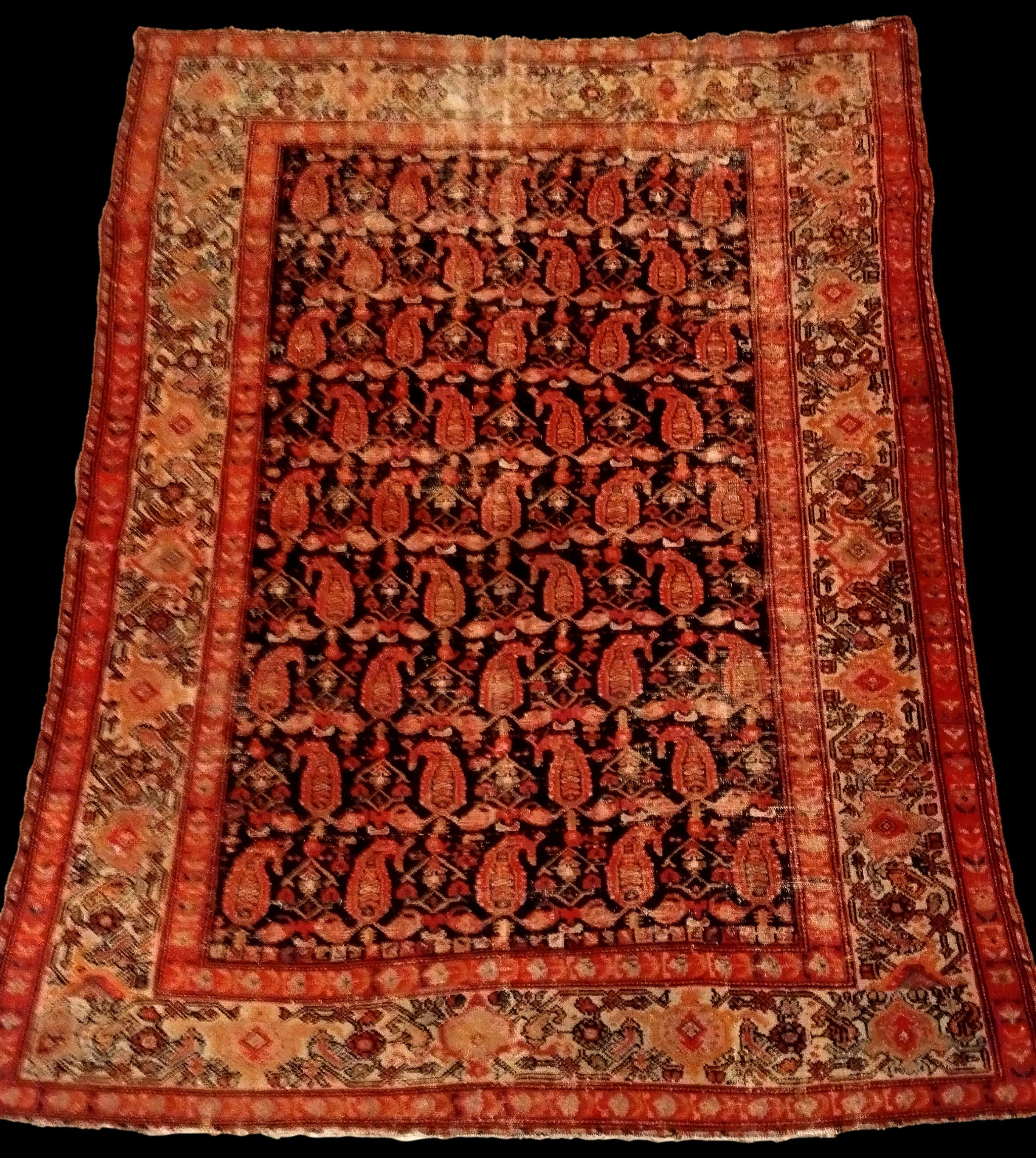 Tapis Afshar, 145 x 190 cm, noué main, Kadjar, Iran, XIXème