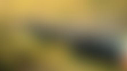 Top 5 FAQs about the Grand Trans-Siberian