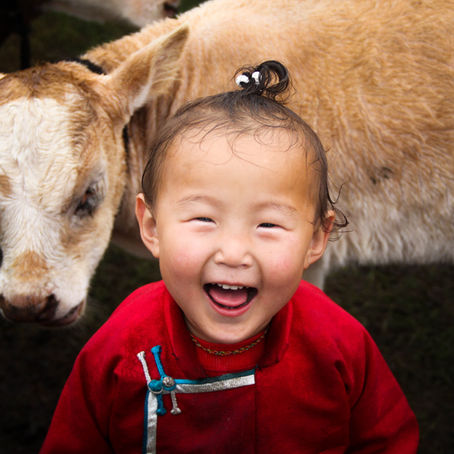 5 Most Unique Experiences in Mongolia