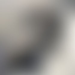 This Pet Rabbit Got Her Own Seat in Business Class and Spent the Flight Eating Croissants