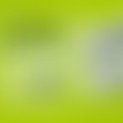 A Few Clicks Away to Scoring Your Next Travel Deal with Sedunia Travel at MATTA Fair Online