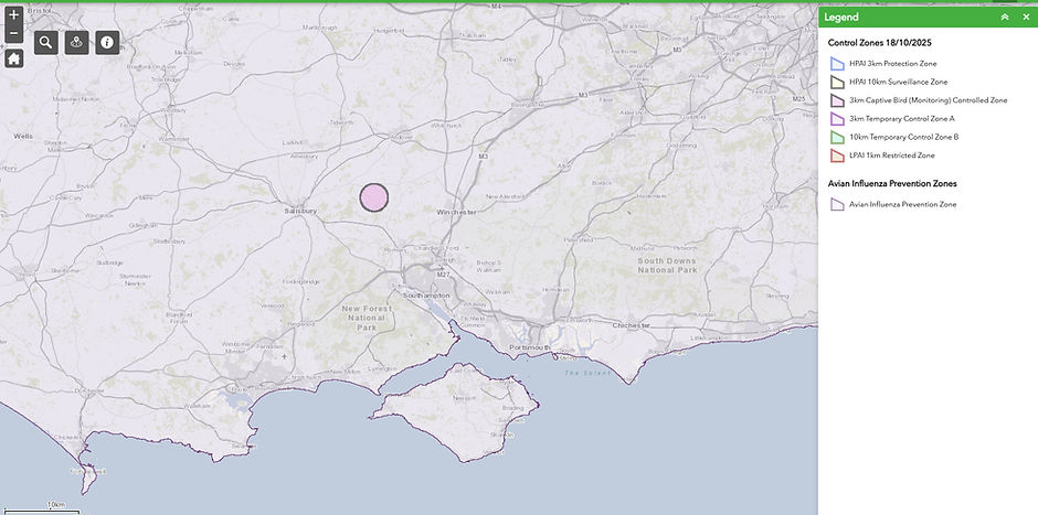 birdfluzone 25 10 24.jpg