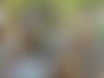 Nigerian Election: Attack on Anambra’s electoral office less than a month to election