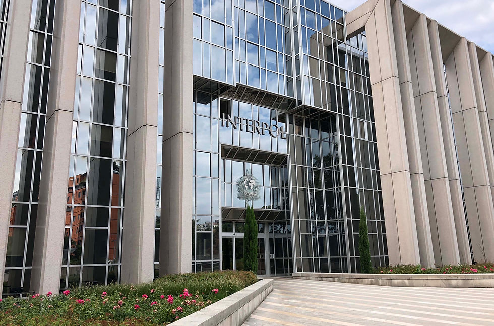 Interpol working out how to police the metaverse