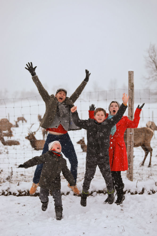 Uxbridge Christmas Photos at the Reindeer Farm!