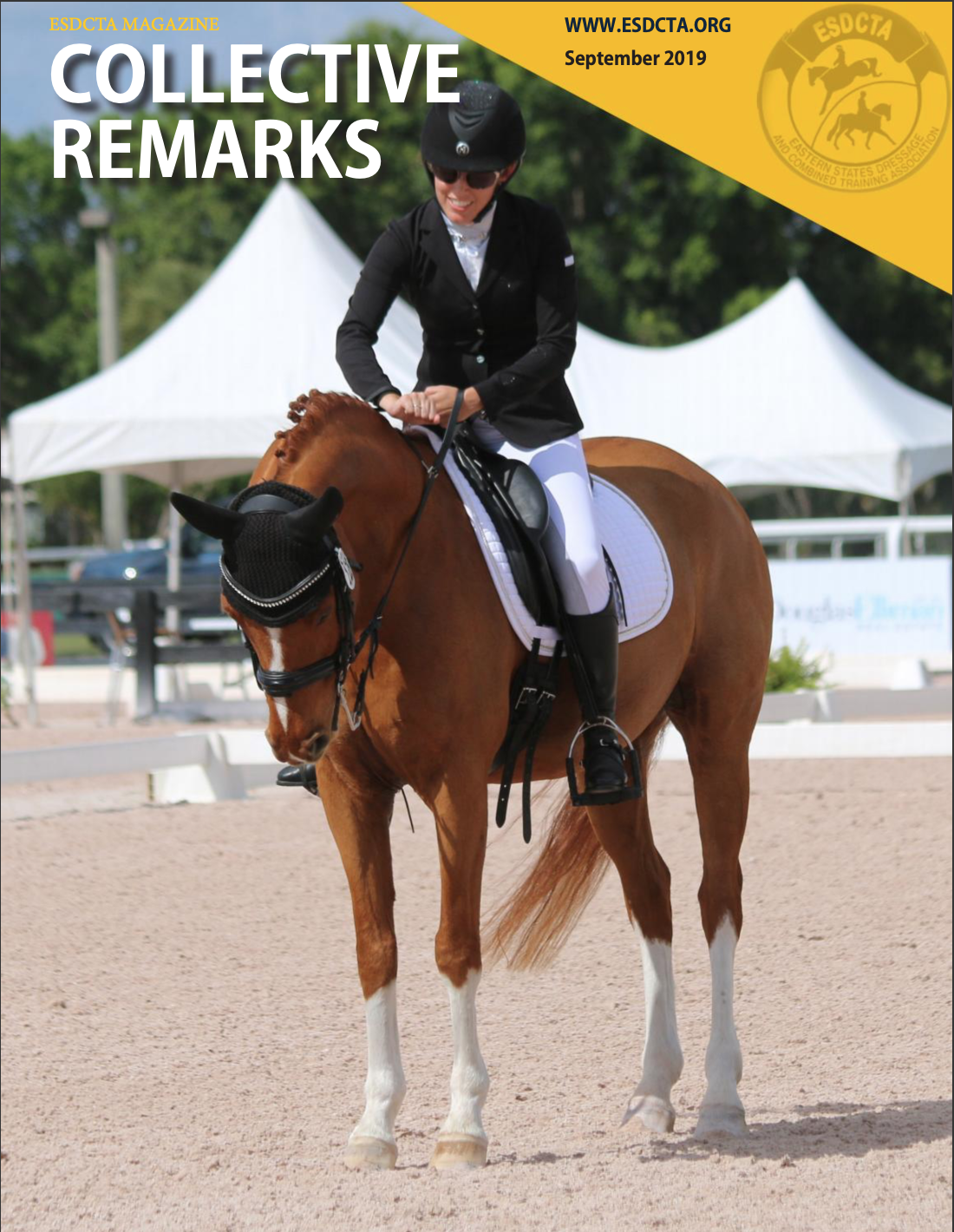 A Para Equestrian's Story of Resilience