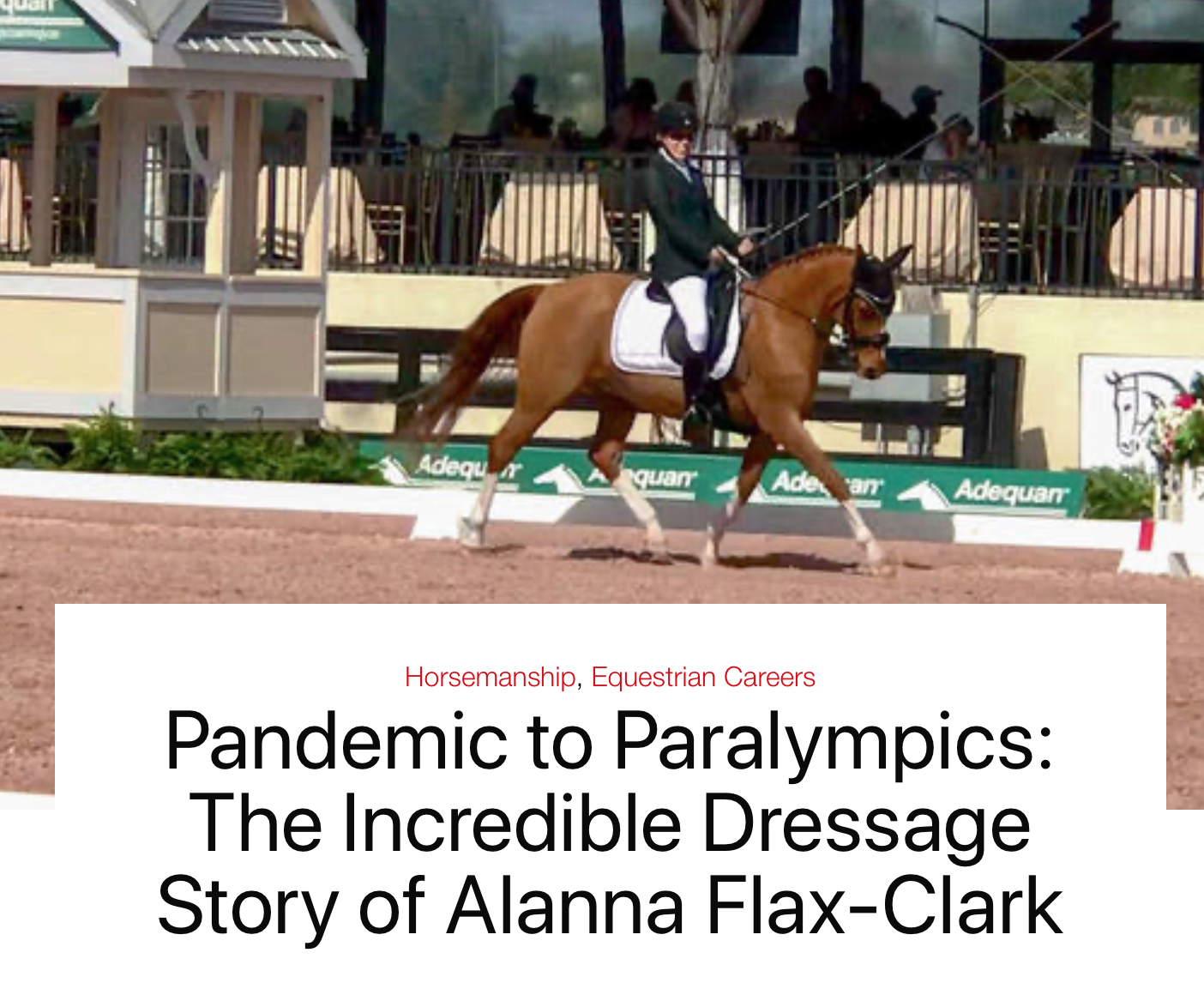Pandemic to Paralympics: The Incredible Dressage Story of Alanna Flax-Clark