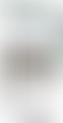 Special Olympics World Games