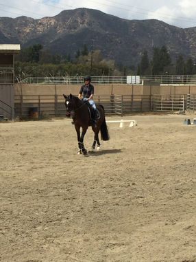 What it means to be a Para Equestrian