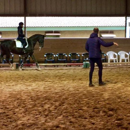 Paradressage Symposium with David Amager