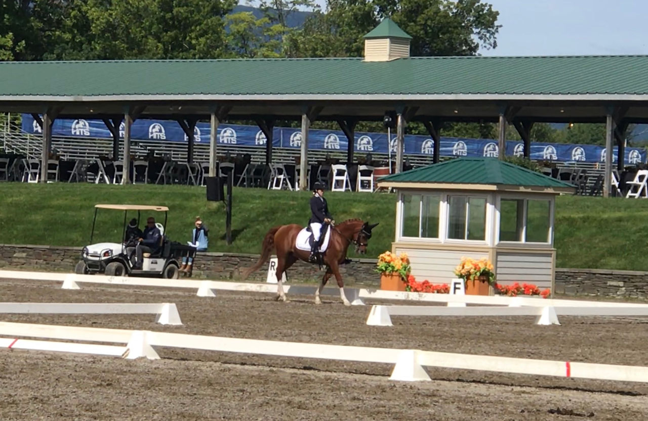 Paraequestrian dressage rider wheelchair