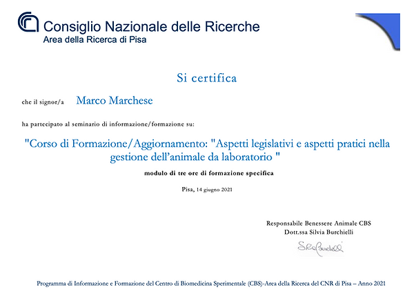 Certificate CBS