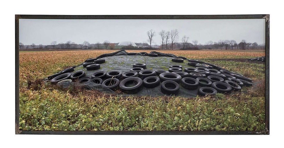 13 Fotografie, 80 X 180 cm, 2018