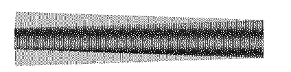 Two-wave trains-overlaid_animated.gif