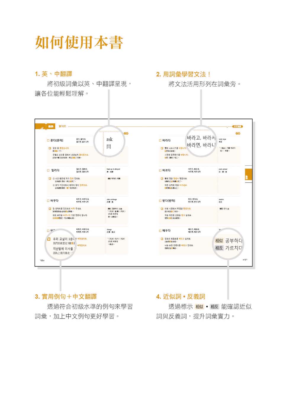 40天搞定新韓檢初級單字 Orchidhouse2