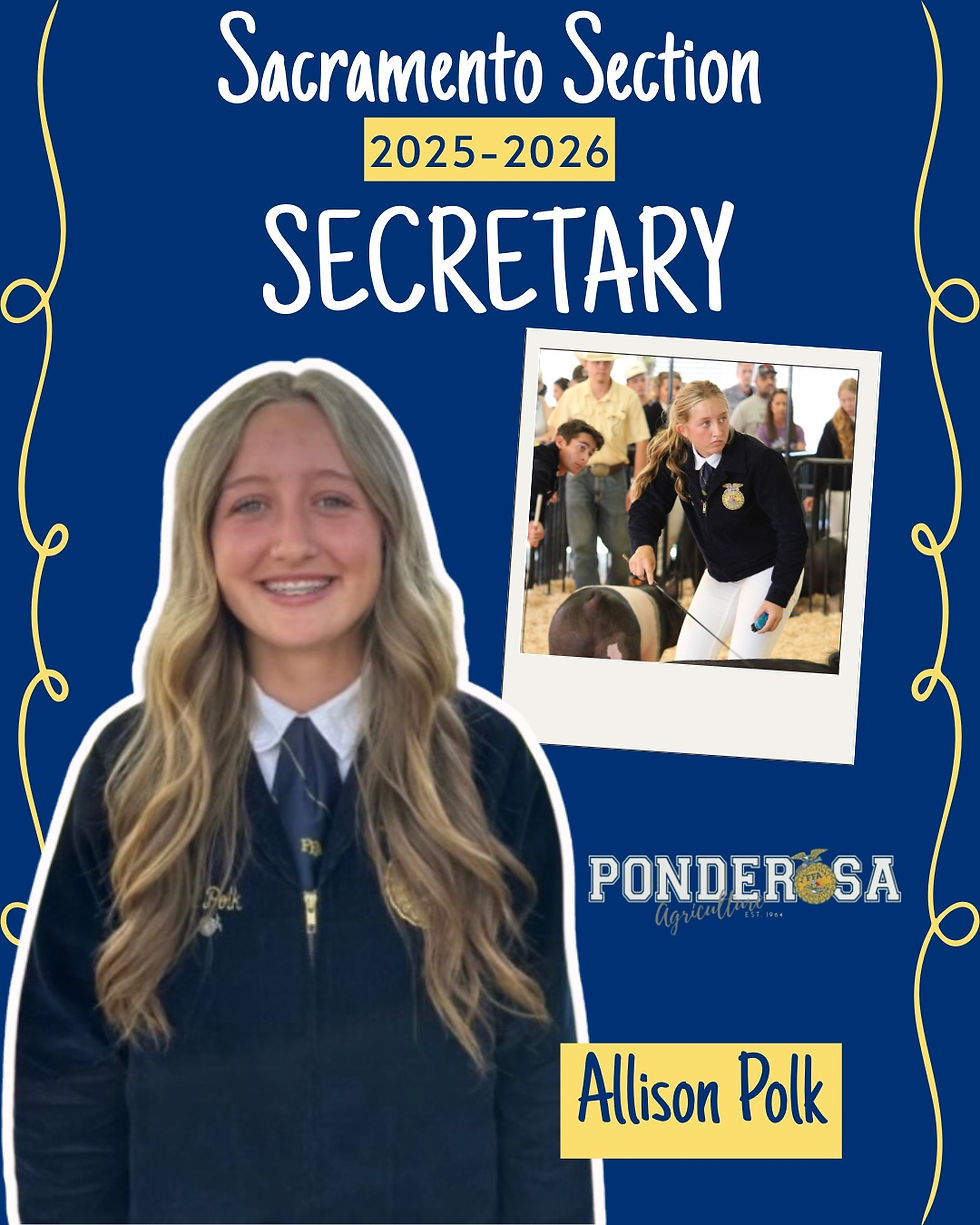 Sac Section Secretary