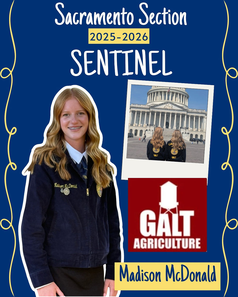Sac Section Secretary