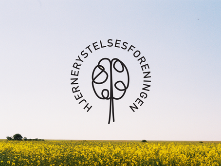 Meditasjonskurs med Hjernerystelsesforeningen