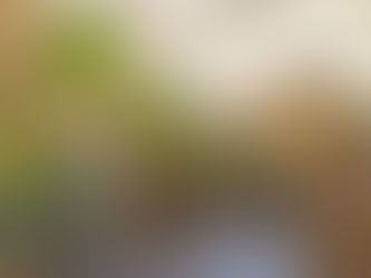 ストレートパーマはOHISAMAにお任せください‼