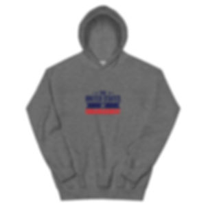 United States of Embarrassment Hoodie 