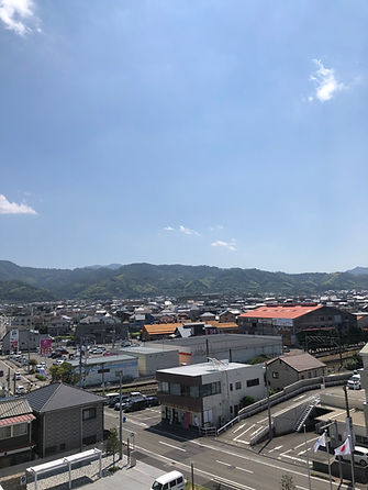 IMG_8201.jpeg