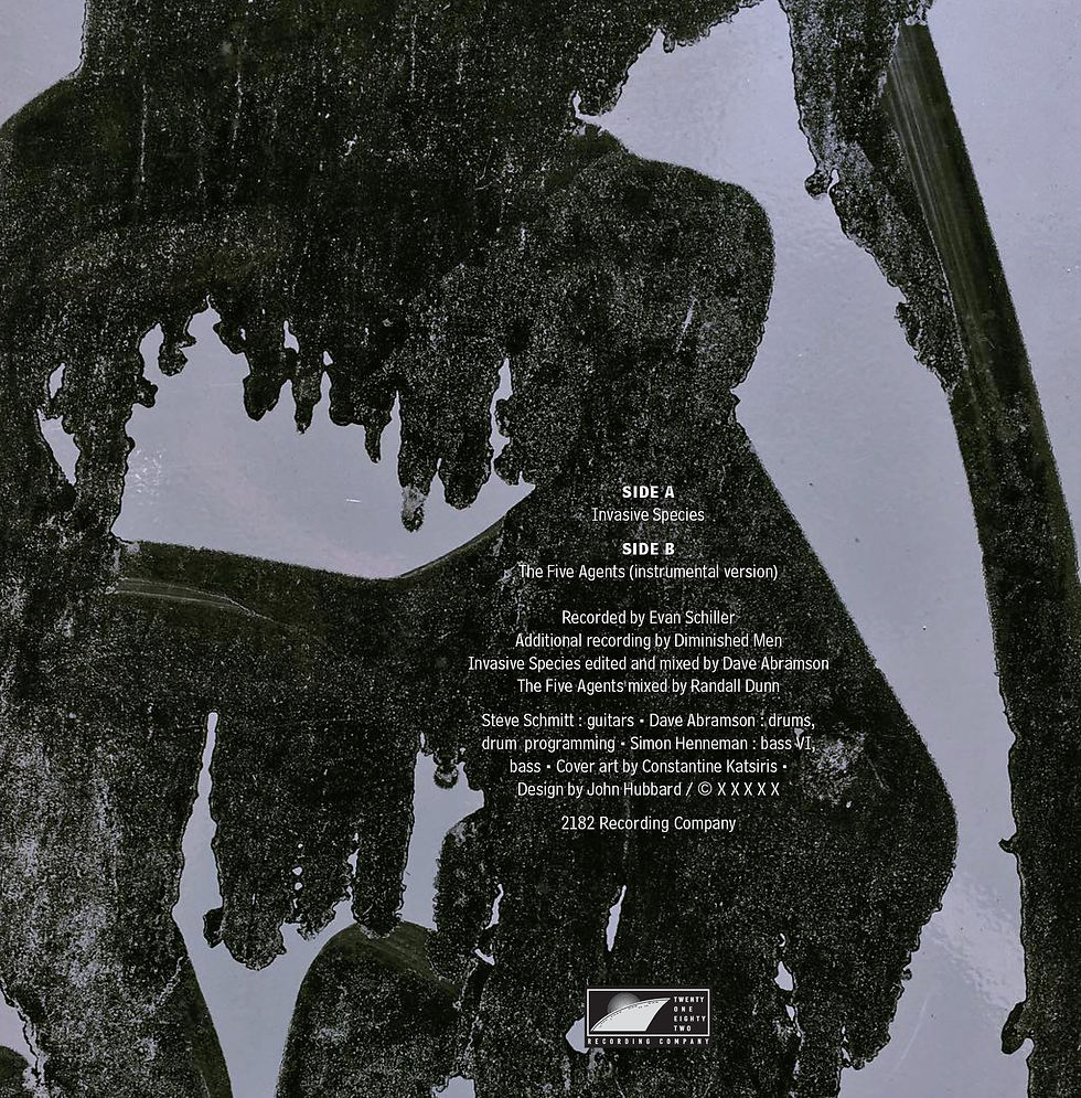 Thumbnail: Diminished Men - Damage Mécanique LP + Invasive Species 7-inch