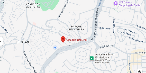 psicologa-assistente-tecnica-em-salvador