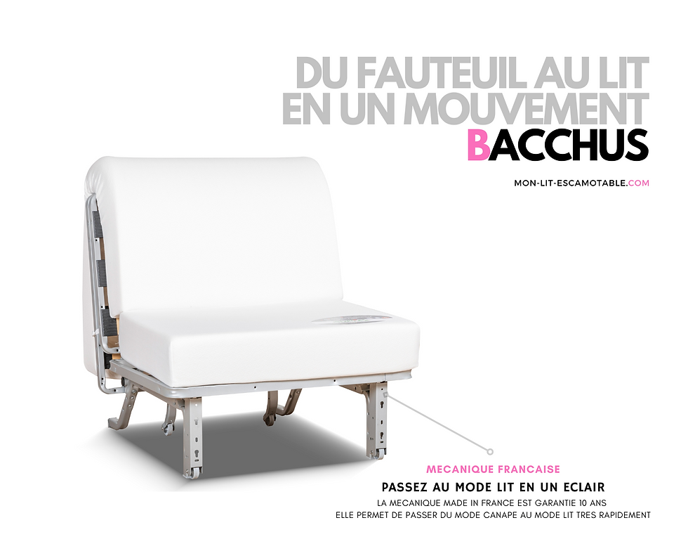 Miniature : BZ BACCHUS couchage occasionnel haut de gamme 80x200 cm
