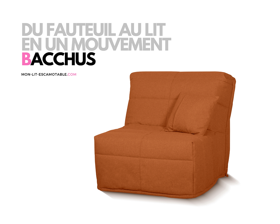 Miniature : BZ BACCHUS couchage occasionnel haut de gamme 80x200 cm