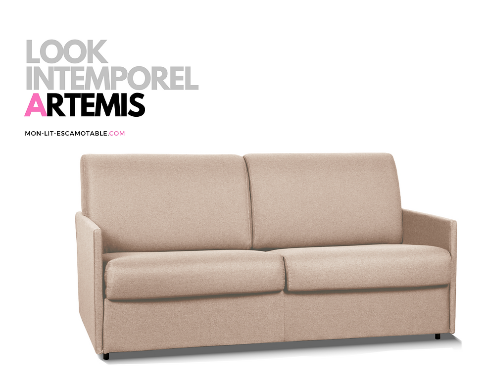 Miniature : Canapé convertible ARTEMIS couchage quotidien