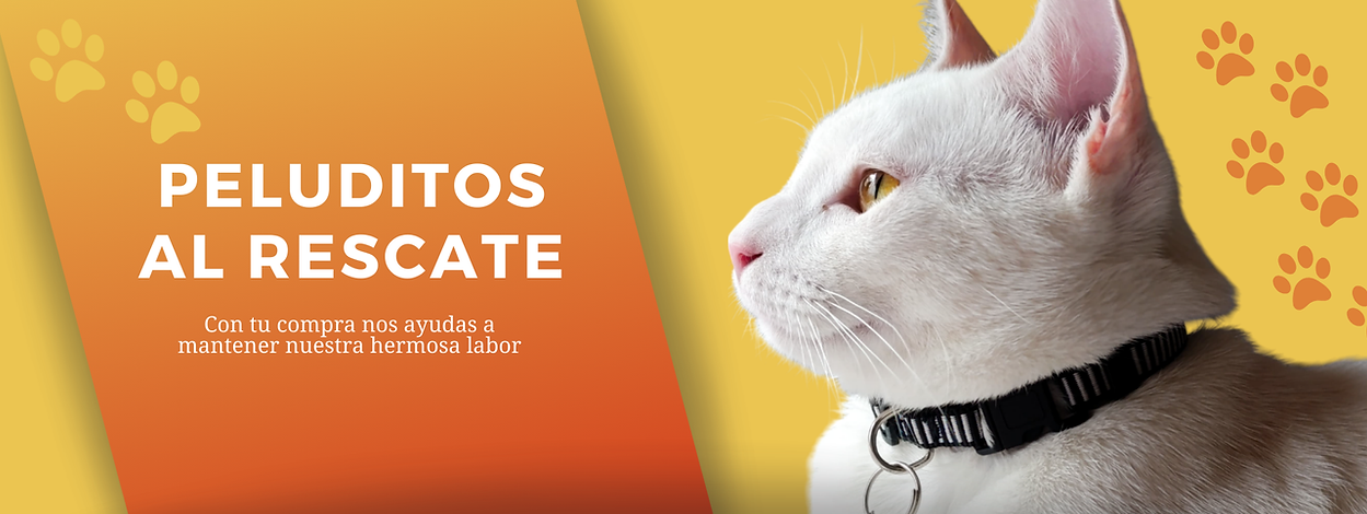 Banner fundación.png