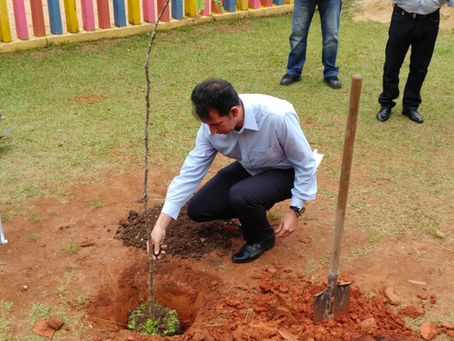 No aniversário de Curitiba, Escola Municipal Maria do Carmo Martins recebe muda de pau-brasil