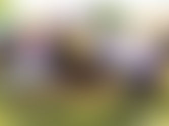 1ª edição do Esporte na Praça em 2018 acontece no Bosque dos 300 anos