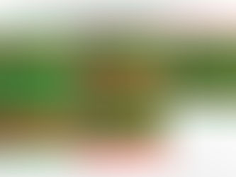 Aumento no ISS e compra de imóveis da URBS foram votados nesta manhã