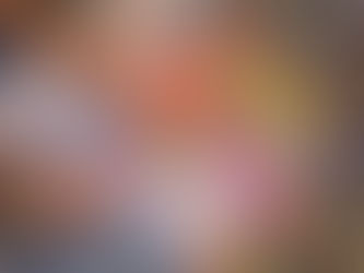 Marcos Vieira propõe políticas de incentivo a formação de novos artesãos