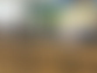 Audiência debate proposta da ANEEL que pode aumentar taxação na distribuição de energia solar em 62%