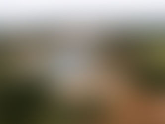 16 emendas são apresentadas para projeto de nova política ambiental para Curitiba