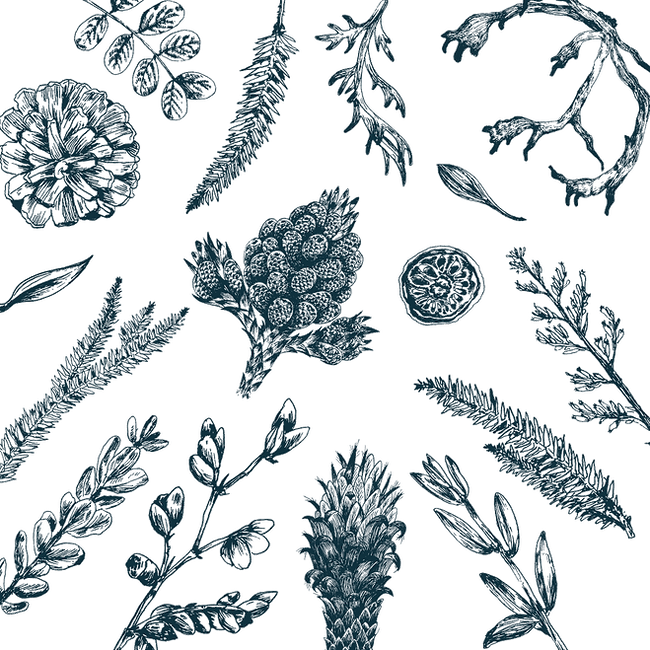 Tini-House-Pattern-Reduced-File.png